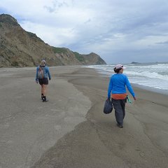 GirlsWildCat 036 : GirlsWildCat